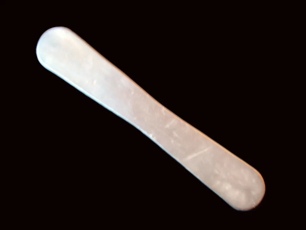 Pandybat from Clongowes Wood College