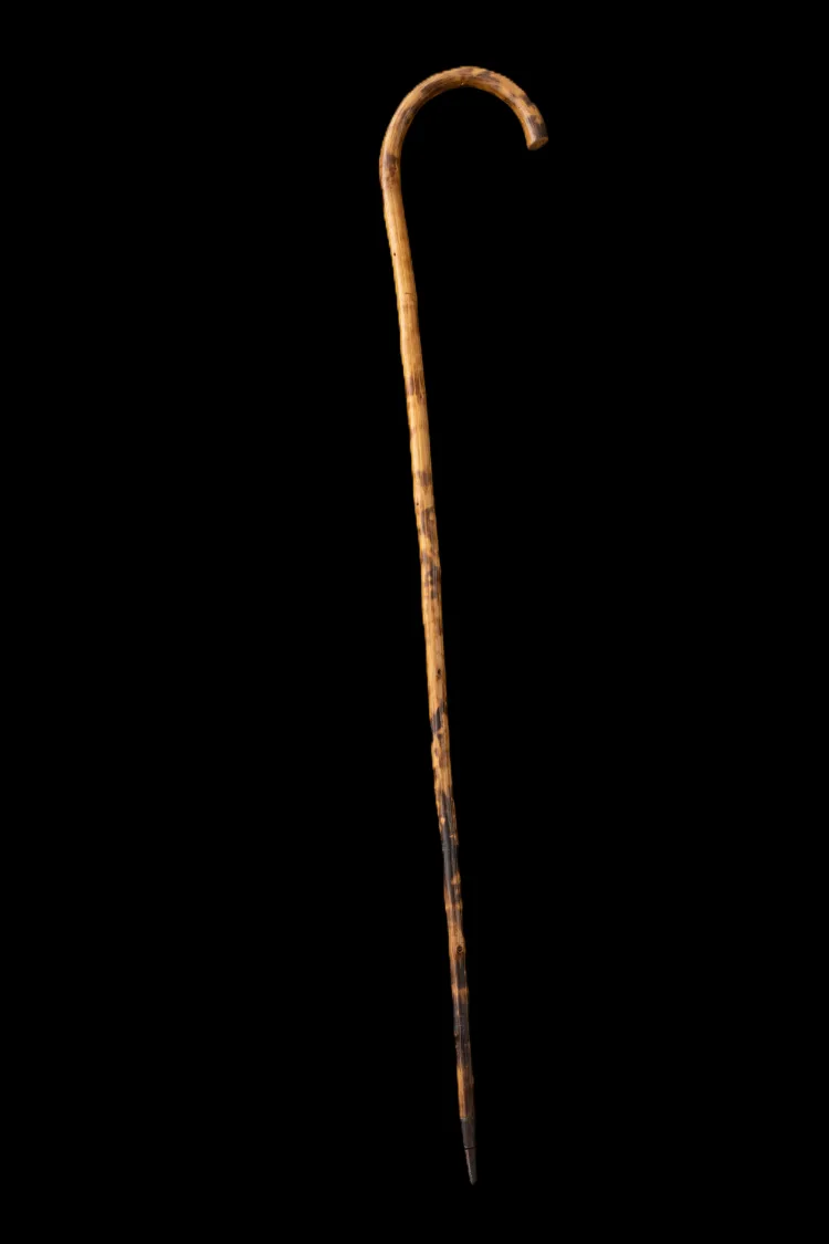 James Joyce's last cane