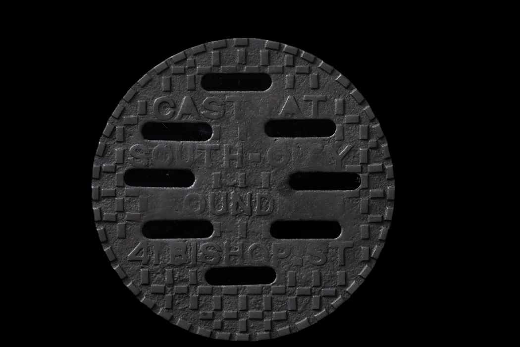 Coal cellar cover from 7 Eccles Street