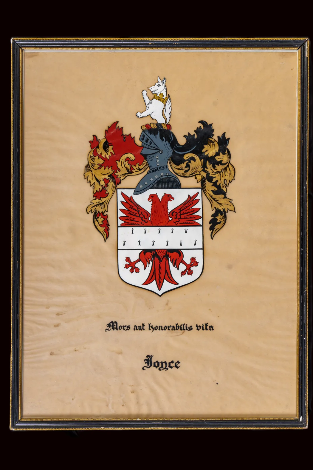 Joyce Family Coat of Arms