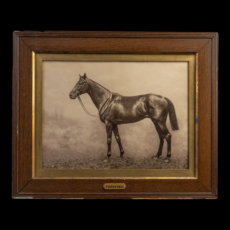 Original photograph of 'Throwaway' by Clarence Hailey