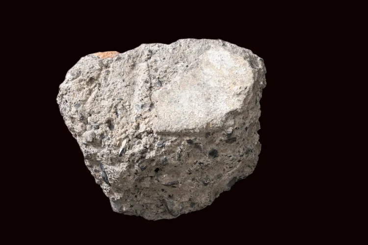 Fragment of 2 Millbourne Avenue