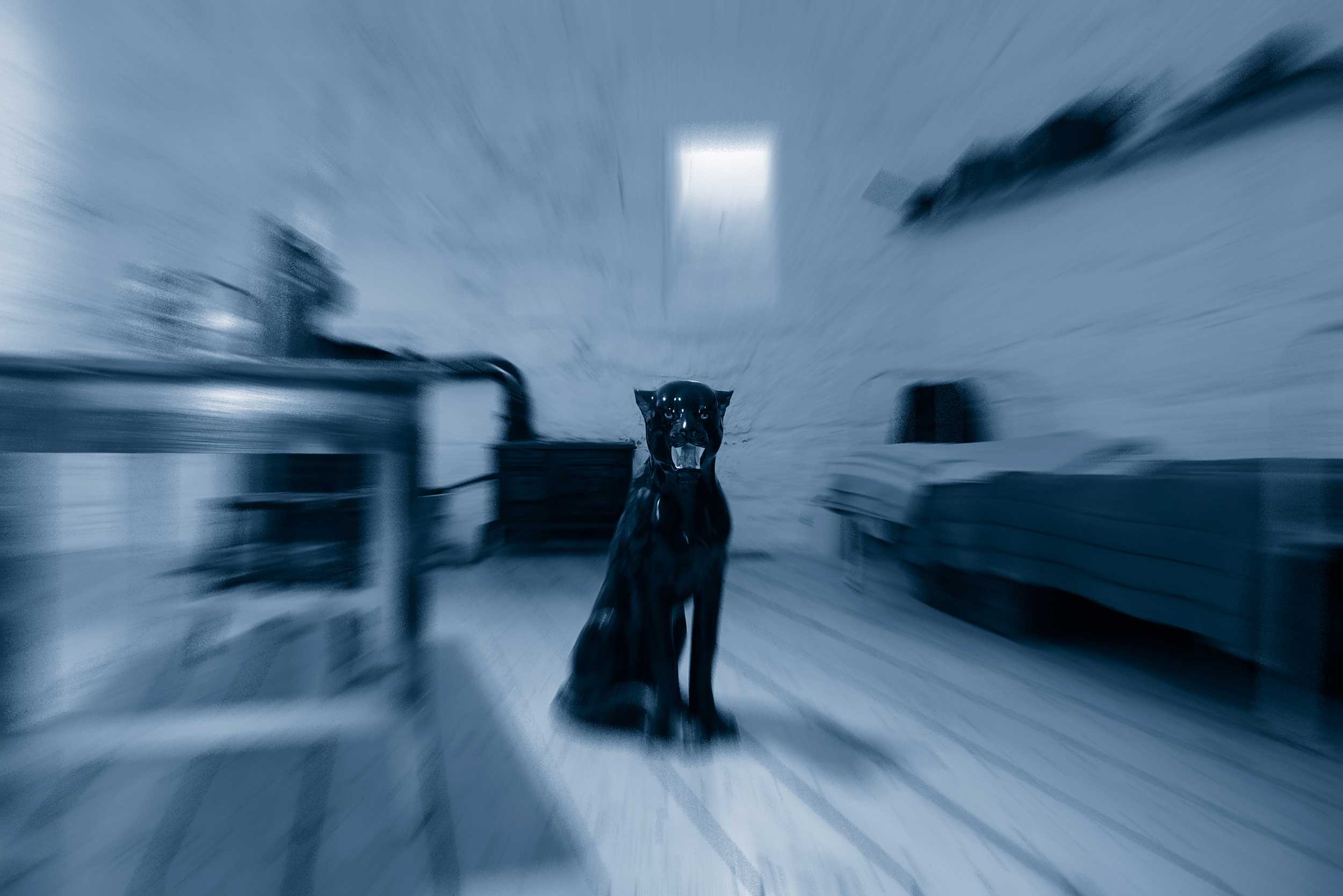 Panther Image
